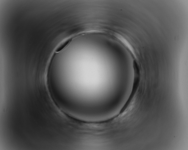 X0000092241197200709211038