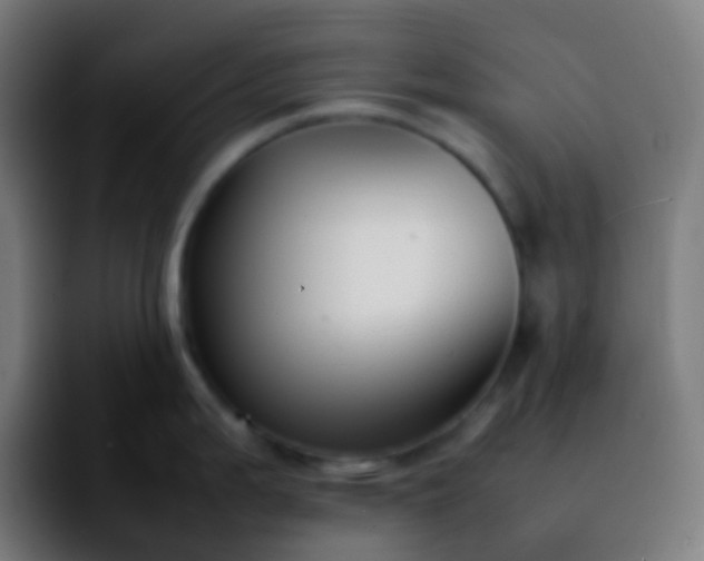 X0000092241199200709211038
