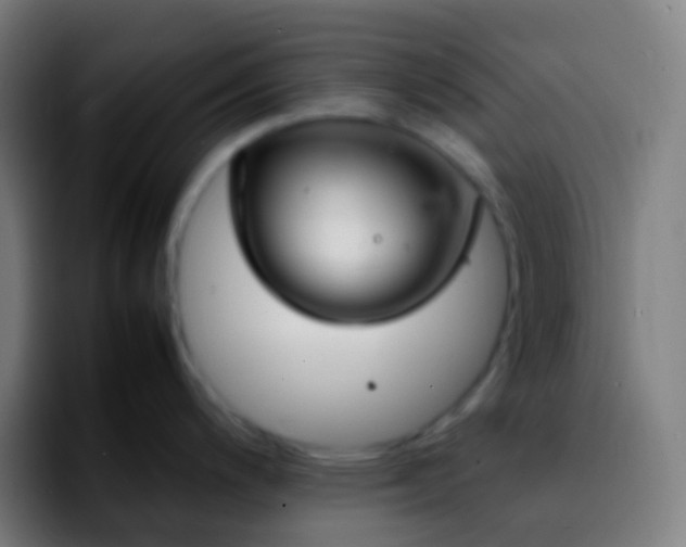 X0000092241200200709211038