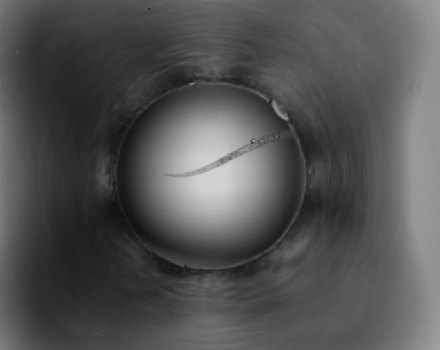 X0000092241202200709211037