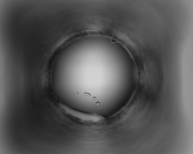 X0000092241208200709211037