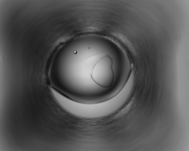 X0000092241210200709211037