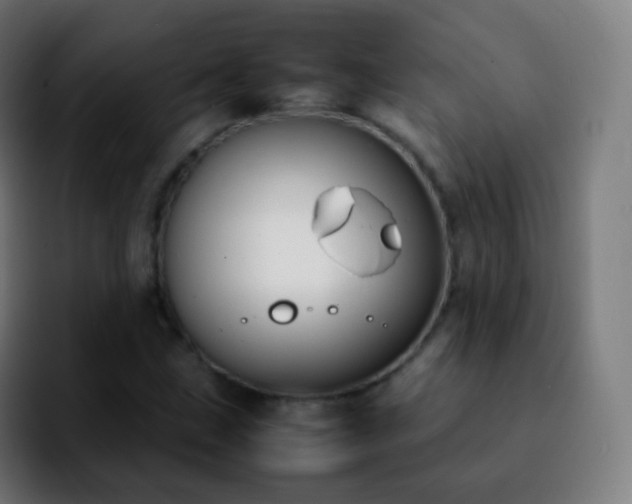 X0000092241211200709211037