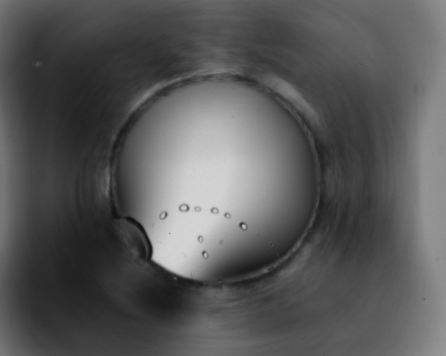 X0000092241220200709211037