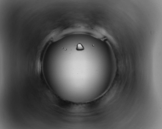 X0000092241221200709211037