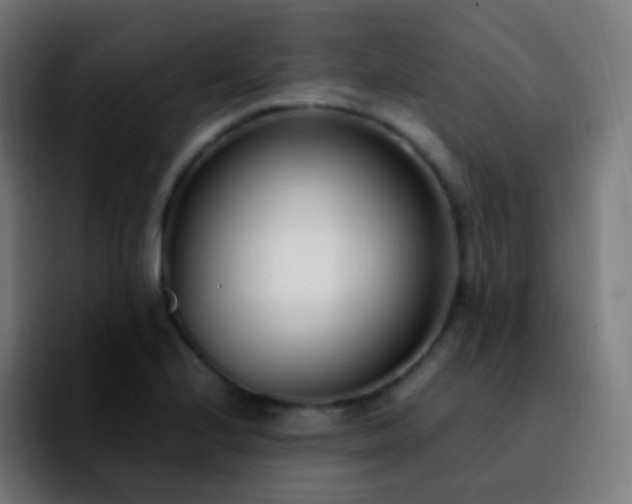X0000092241224200709211037