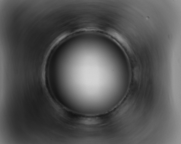 X0000092241229200709211037