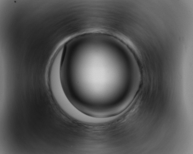 X0000092241230200709211037
