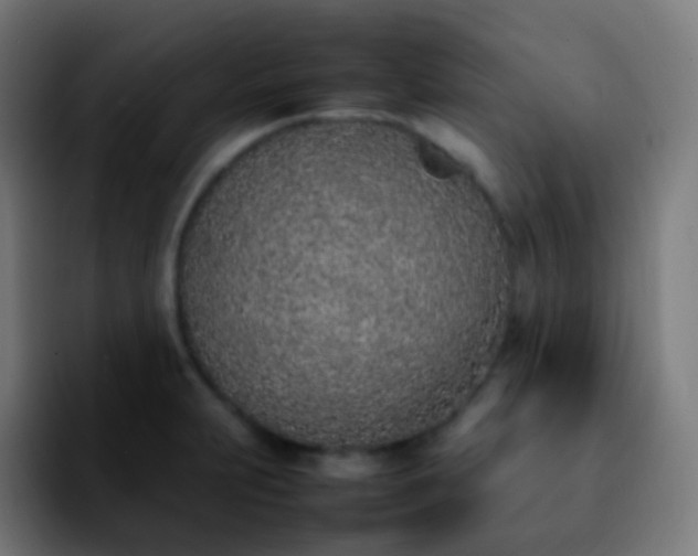 X0000092241231200709211037