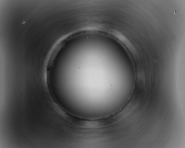 X0000092241232200709211037