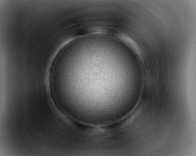 X0000092241235200709211038