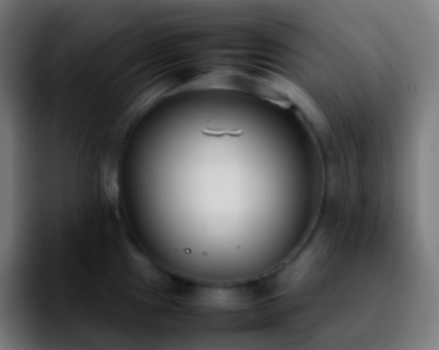 X0000092241241200709211038