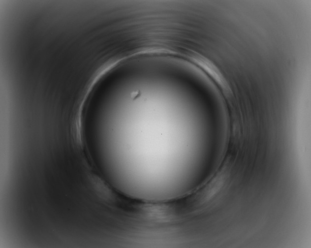 X0000092241242200709211038