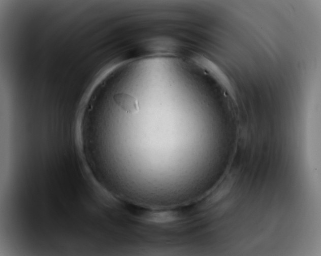 X0000092241243200709211038