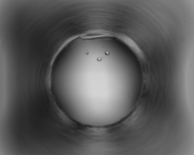 X0000092241244200709211038