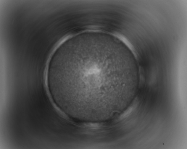 X0000092241245200709211038