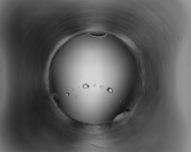 X0000092241248200709211038
