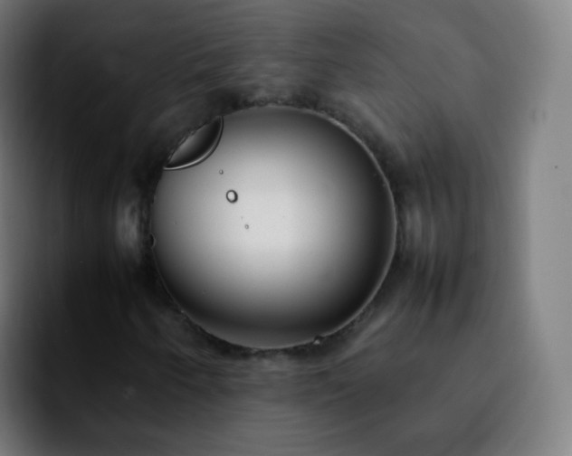 X0000092241250200709211037