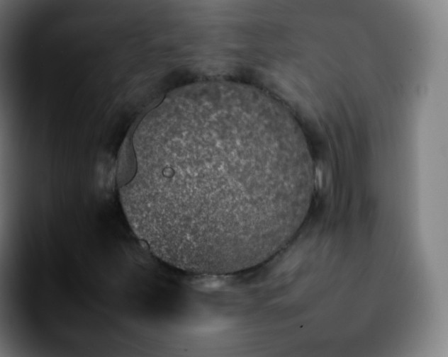 X0000092241251200709211037