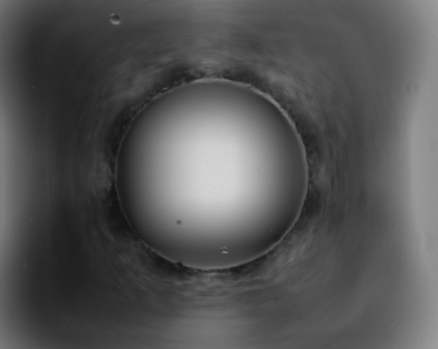 X0000092241253200709211037