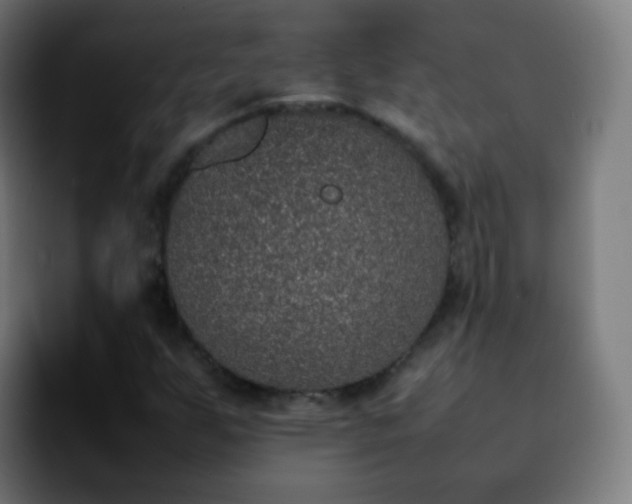 X0000092241255200709211037