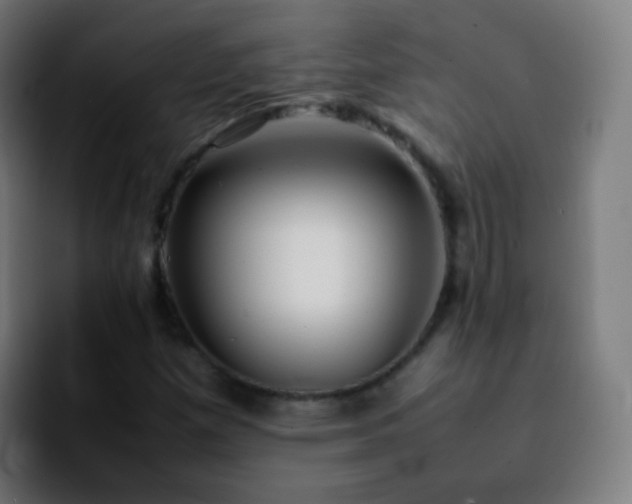 X0000092241257200709211037