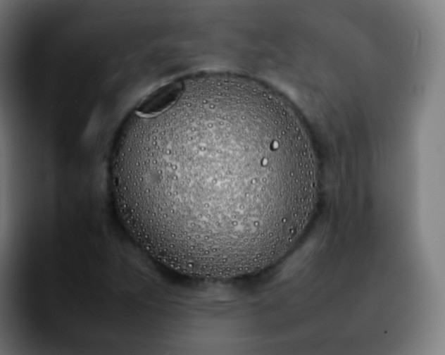 X0000092241263200709211037
