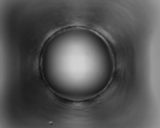 X0000092241264200709211037