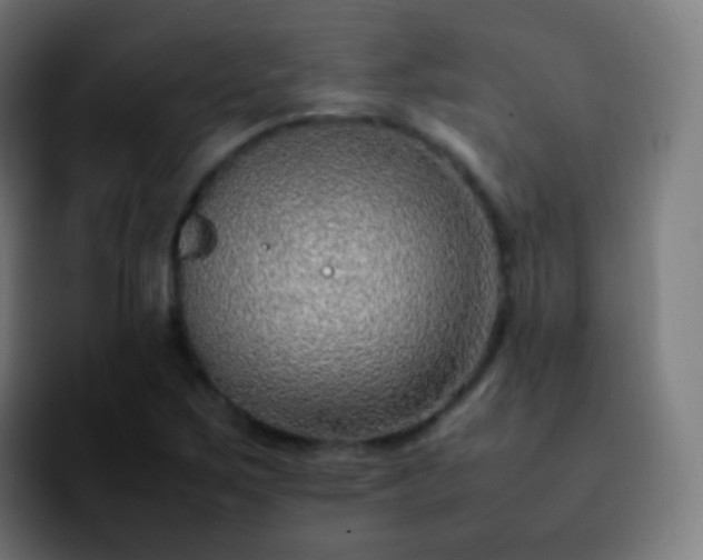 X0000092241267200709211037