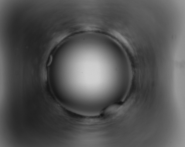 X0000092241269200709211037