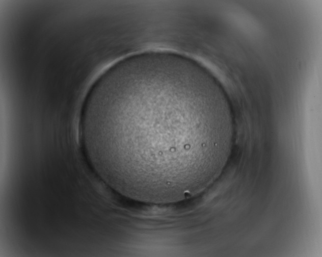 X0000092241271200709211037