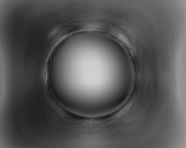 X0000092241275200709211037
