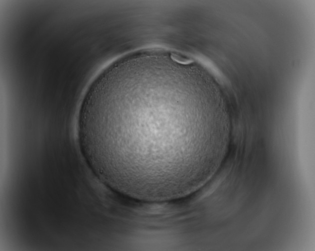 X0000092241279200709211037
