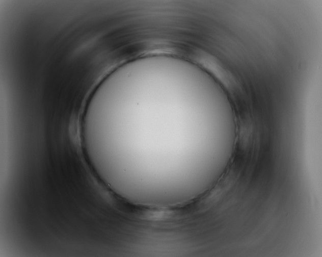 X0000092241282200709211037
