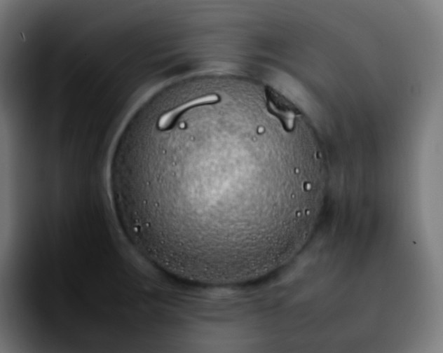 X0000092241283200709211037