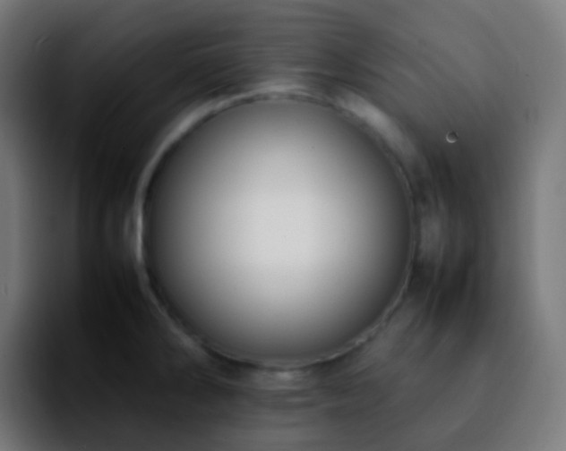 X0000092241286200709211037