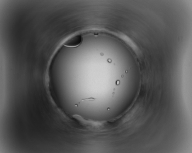 X0000092241287200709211037
