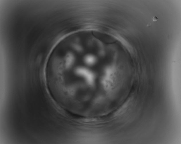 X0000092241291200709211037