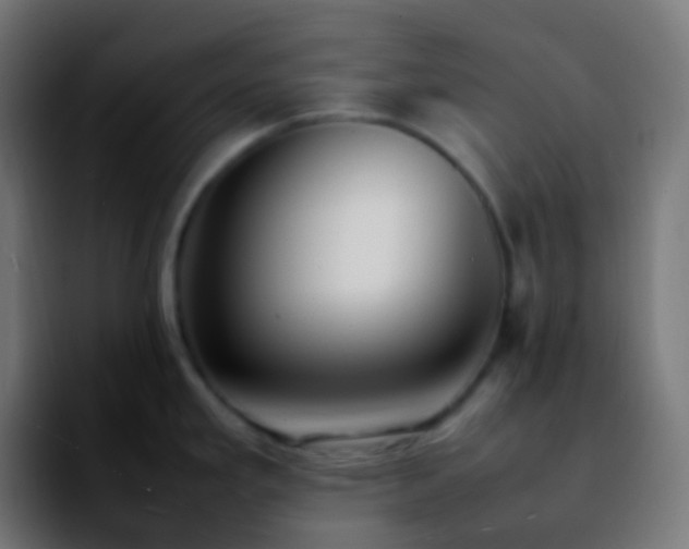 X0000092241293200709211037