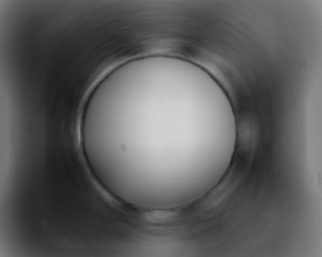 X0000092241294200709211037