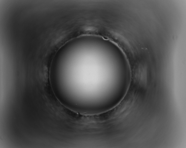X0000092241301200709211036
