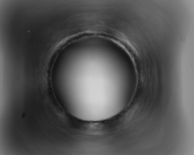 X0000092241304200709211036