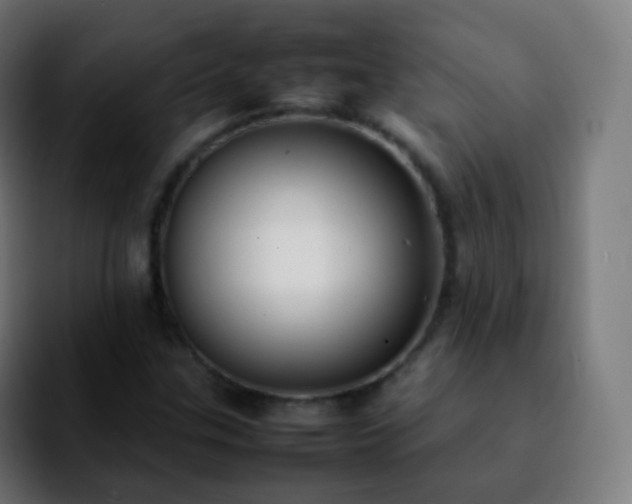 X0000092241307200709211036