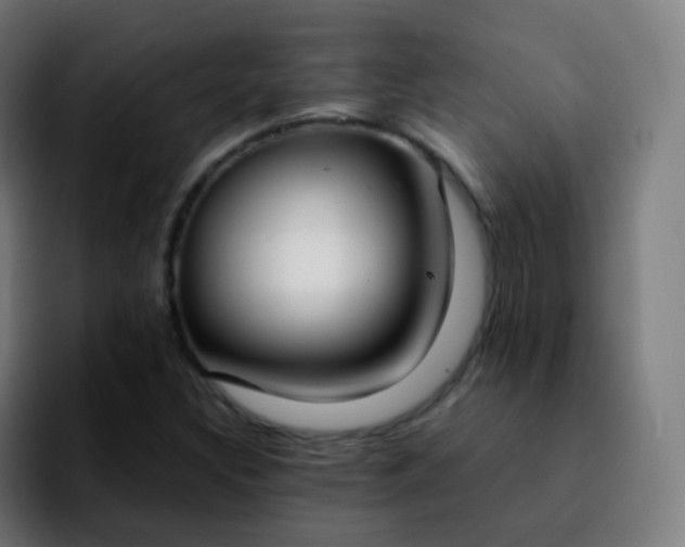 X0000092241308200709211036