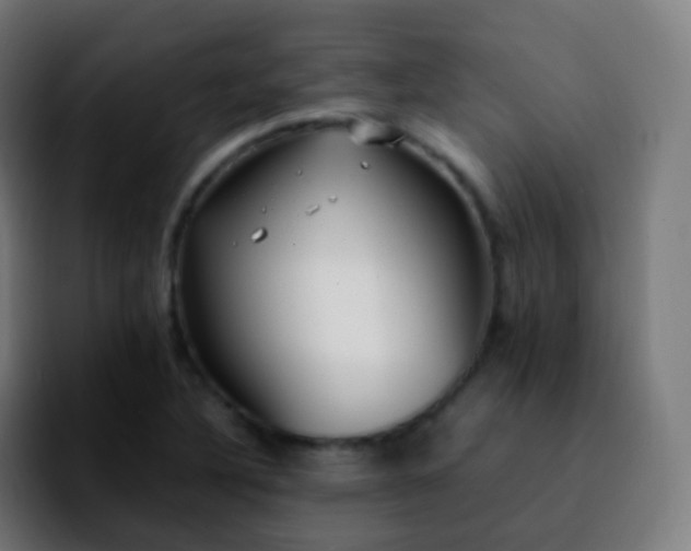X0000092241316200709211036
