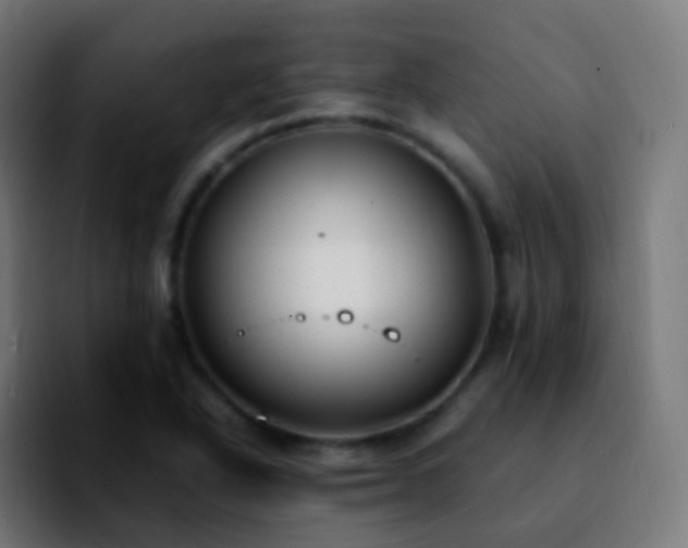 X0000092241318200709211036