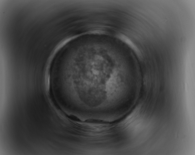 X0000092241323200709211036