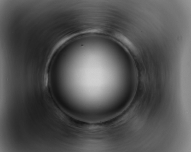 X0000092241324200709211036