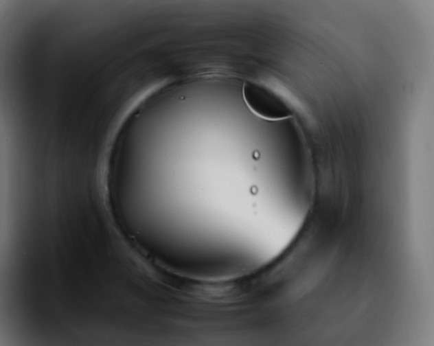 X0000092241325200709211036