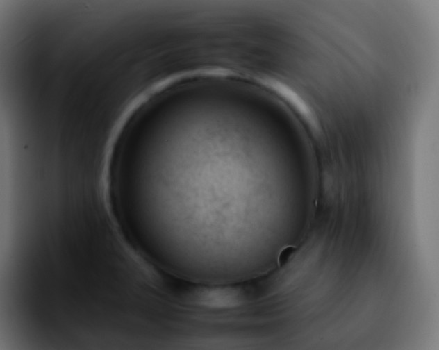 X0000092241327200709211036